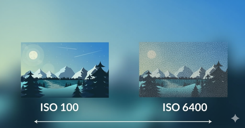 What is ISO Photography - The Definitive Guide