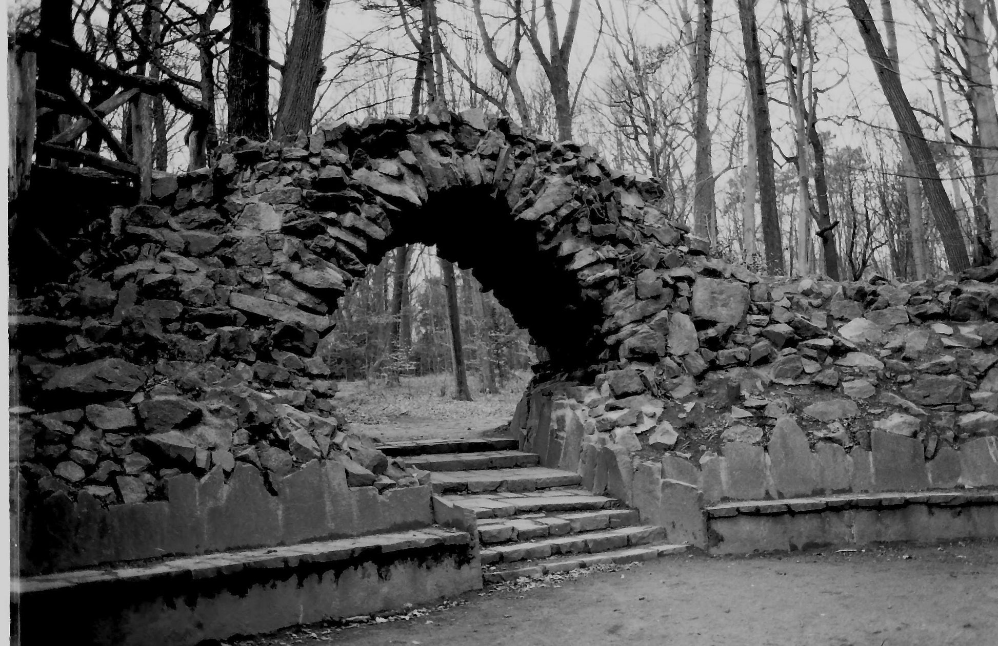 WOLFEN NP100 - 36EXP