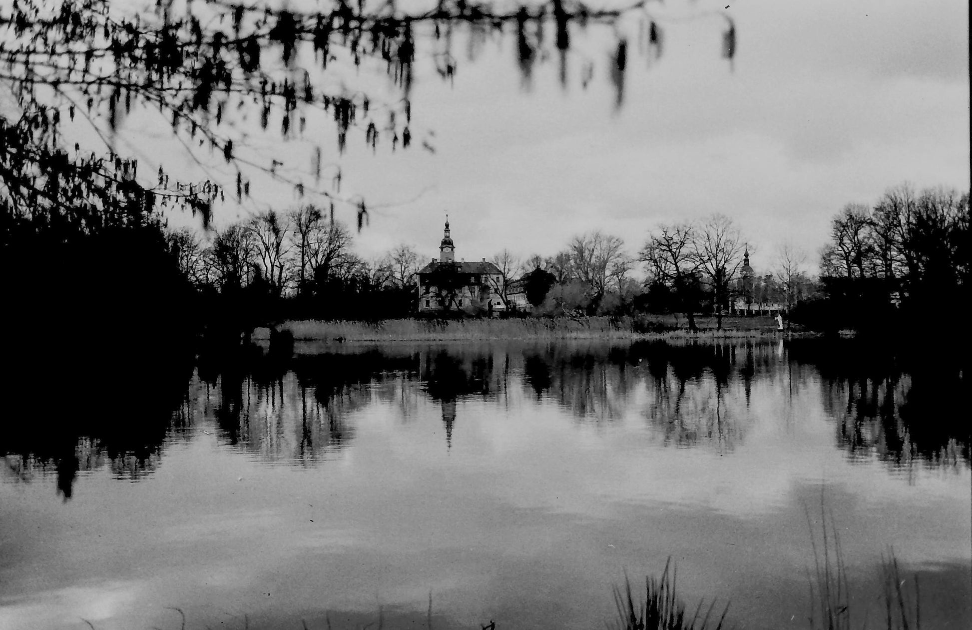 WOLFEN NP100 - 36EXP