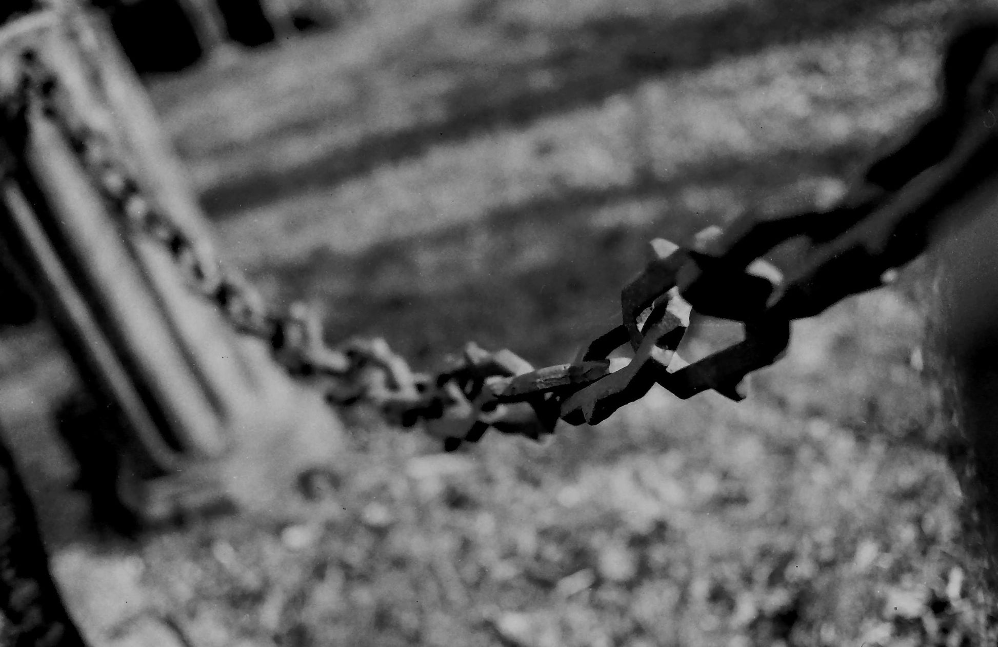 WOLFEN NP100 - 36EXP