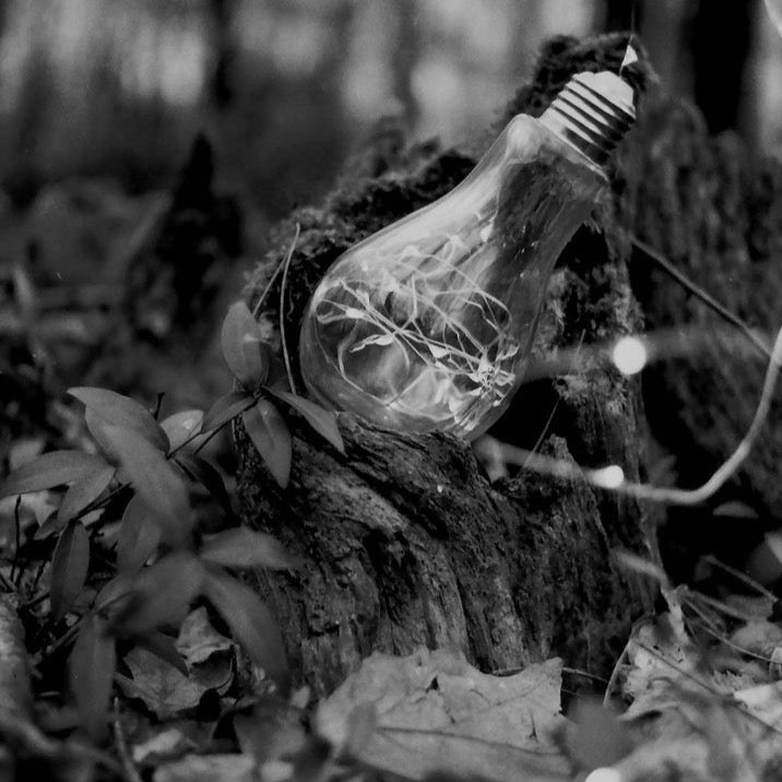 WOLFEN NP100 - 36EXP