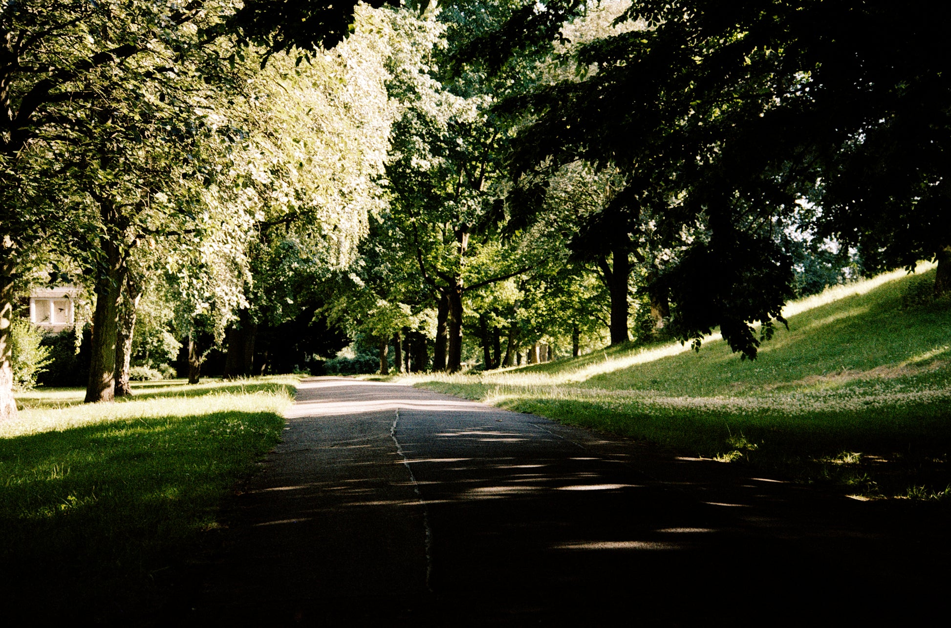 photo films
photographic films
photo film buy