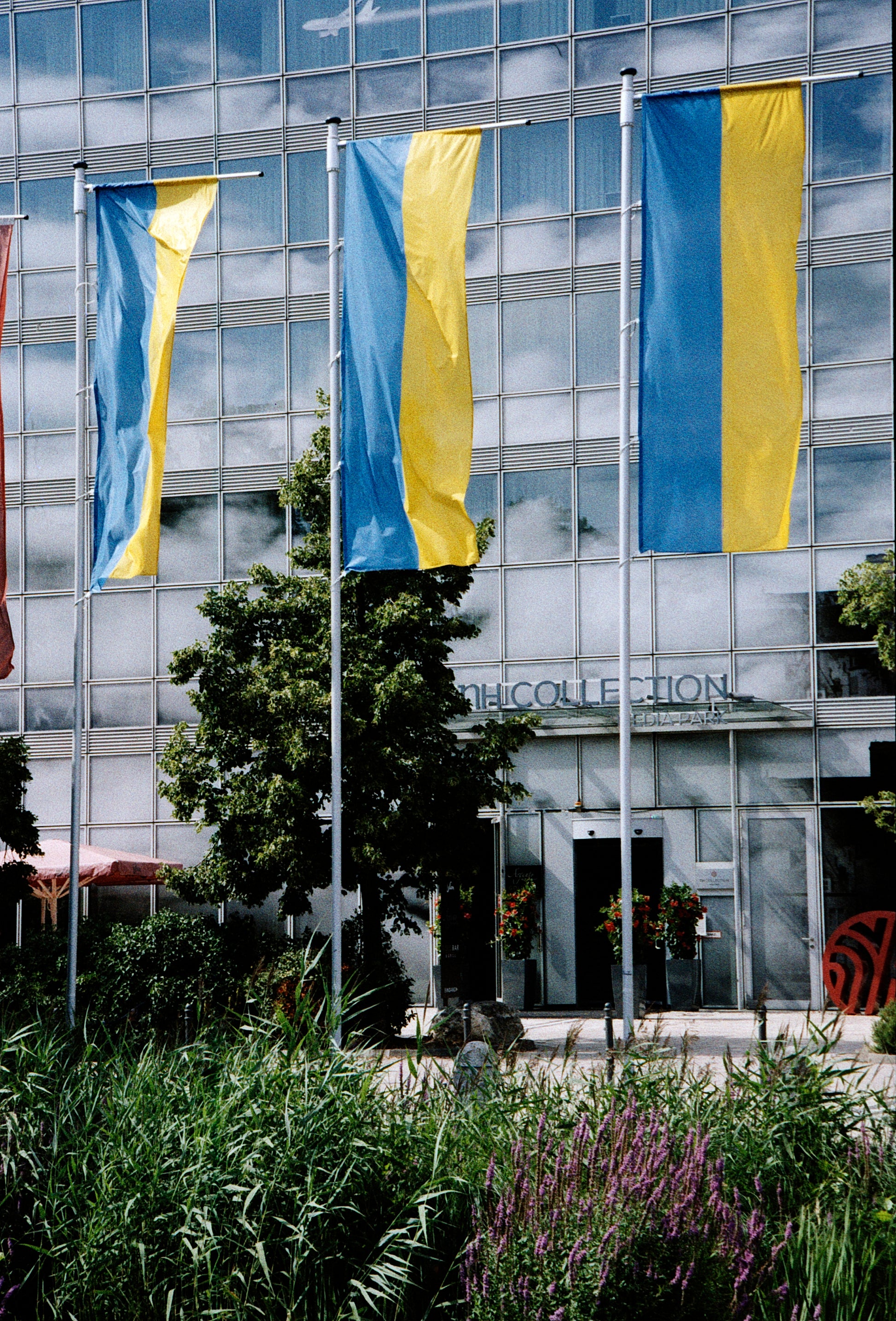 WOLFEN NC500 - 36EXP